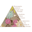 sireli ja kookose lõhnapüramiid.png